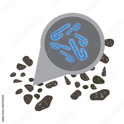 marburg virus in bat droppings