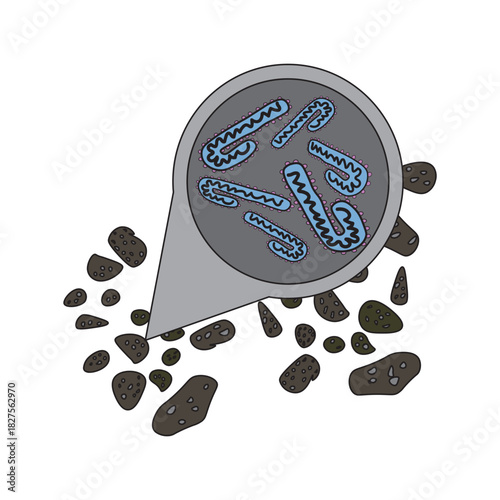 marburg virus in bat droppings