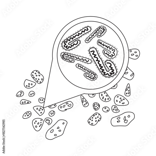 marburg virus in bat droppings line icon
