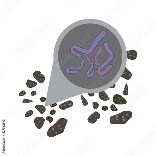 marburg virus in bat droppings