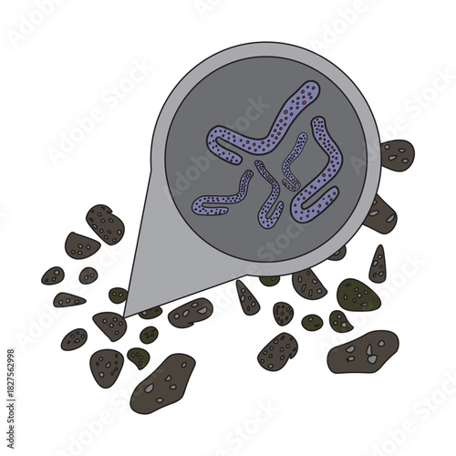 marburg virus in bat droppings