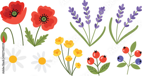 Wild meadow flower set in bright flat vector illustration style, suitable for nature graphics, patterns, and spring design