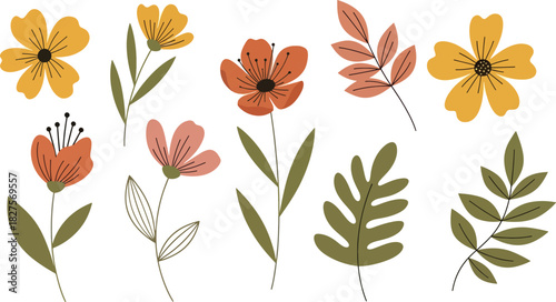 Bohemian floral illustrations in earthy colors and flat vector style, perfect for aesthetic creative projects