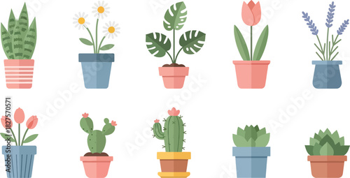 Cute houseplants and flowers in pots illustrated in flat vector style for home decor themes