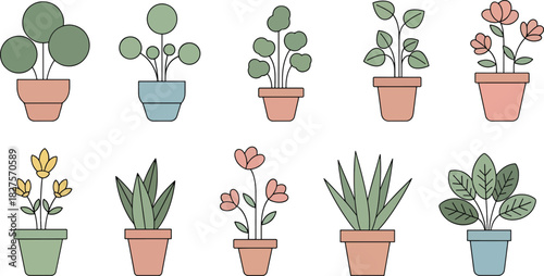 Cute houseplants and flowers in pots illustrated in flat vector style for home decor themes