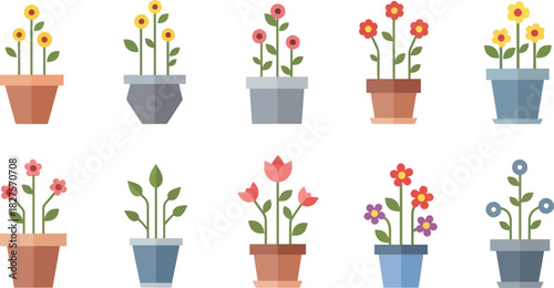 Cute houseplants and flowers in pots illustrated in flat vector style for home decor themes