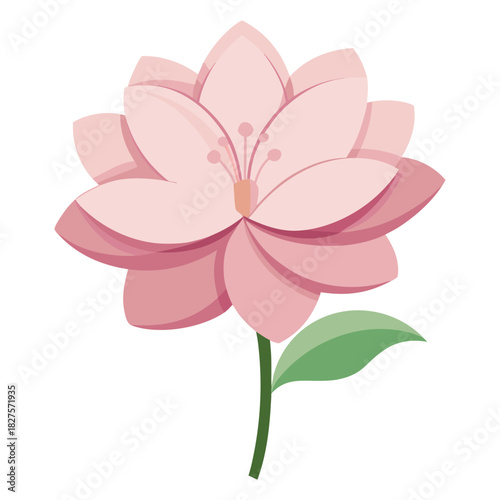 Isolated pink rose flower blossom with leaf, vector illustration design, spring nature beauty, and floral love greeting card art