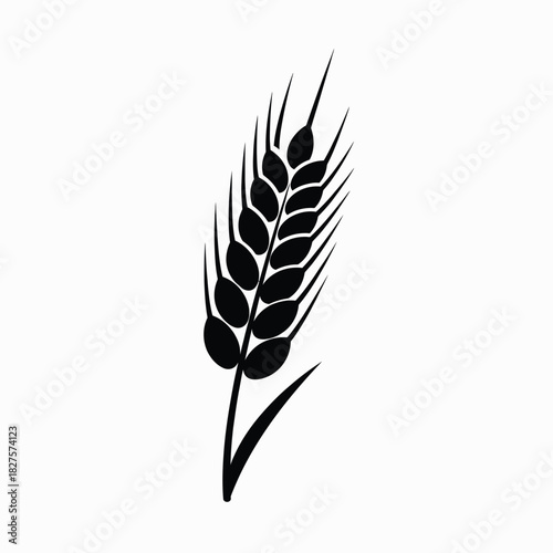 Black silhouette of a single wheat stalk on a transparent background