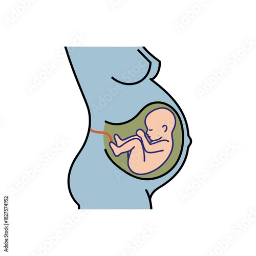 Illustration Of A Pregnant Woman Showing A Fetus Inside The Uterus With Umbilical Cord Attached And A Silhouette Of The Mother's Body In A Light Blue Hue Against A Black Background