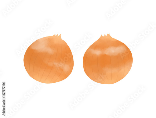 シンプルなたまねぎのイラスト