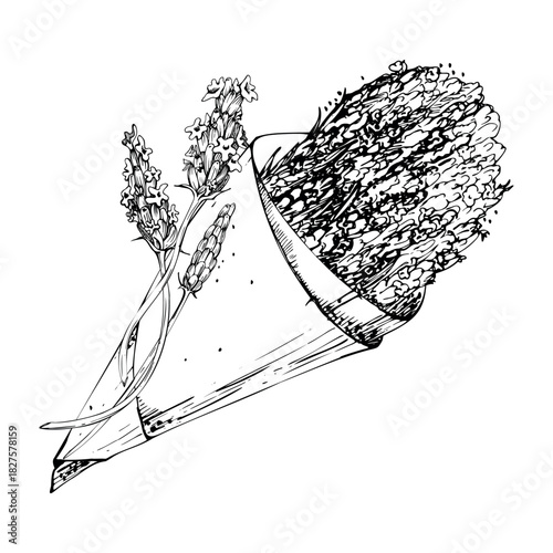 Line sketch of lavender bouquet wrapped in rustic kraft paper cone, single lavandula flower stalks. Isolated illustration hand drawn in vector ink. Eco branding, romantic product tag, garden label