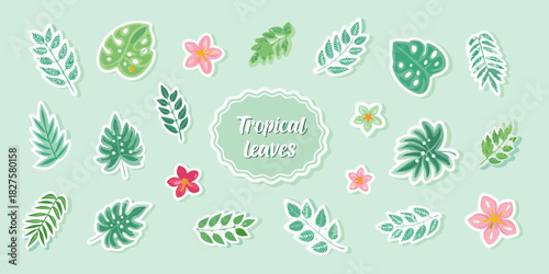 Tropical leaves and flowers sticker set on light green background