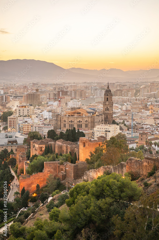 Obraz premium View over Malaga city and Cathedral (Santa Iglesia Catedral Basílica de la Encarnación) from Alcazaba at sunset, Andalusia, Spain. Buildings and rooftops. Cityscape at golden hour. Vertical crop