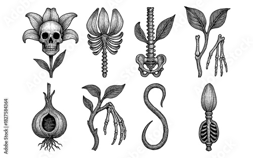 Gothic flora and anatomy fusion: intricate surreal elements combining plants and skeletons