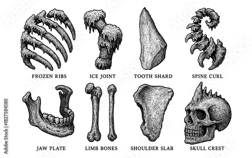 Intricate black and white fantasy skeleton artifacts with labels and textured details