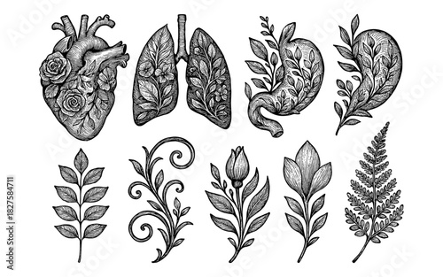 Intricate botanical and human anatomy fusion sketch in vintage art style