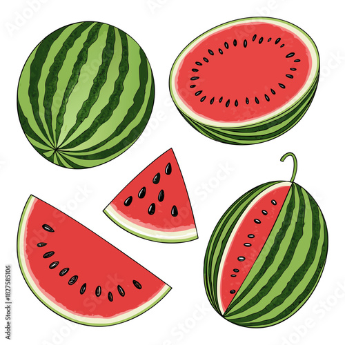Watermelon Fruit Illustration Set – Colorful Slices, Wedges, and Whole Melons