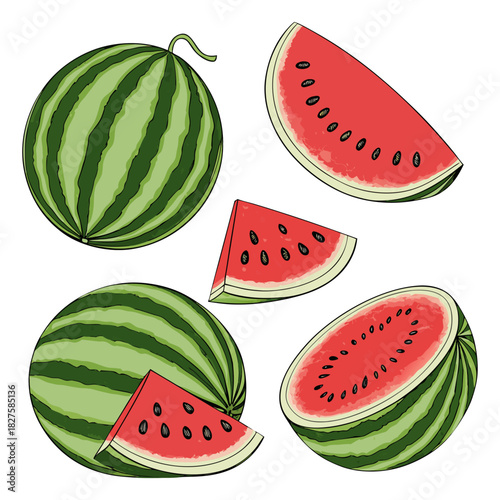 Watermelon Fruit Illustration Set – Colorful Slices, Wedges, and Whole Melons