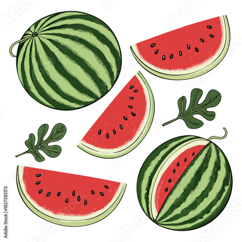 Watermelon Fruit Illustration Set – Colorful Slices, Wedges, and Whole Melons