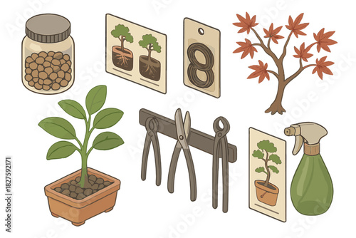 Bonsai Gardening Essentials. Isometric vector illustration set of Bonsai gardening: ornamental gravel jar, root rot prevention