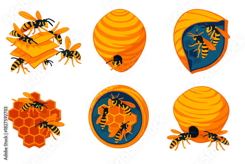 Wasp Nest Construction. Isometric vector illustration set Social wasp nest construction: wasp colony at work, papery nest sheets,