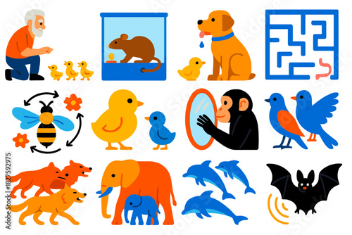 Ethology Icon Set. Flat vector icons of ethology: Lorenz with goslings, Skinner box, Pavlov’s dog, rat maze, bee waggle dance,