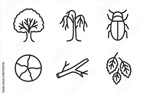Dutch Elm Disease Icons. Line style icons of Dutch Elm Disease: elm tree silhouette, wilted crown, bark beetle, vascular staining,