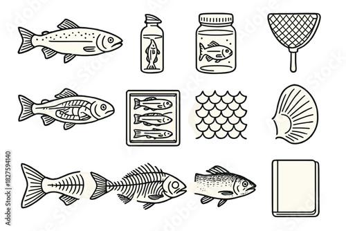 Vintage Ichthyology Illustrations. Line style icons of vintage ichthyology: fish illustration, jar, net, anatomy; specimen tray,
