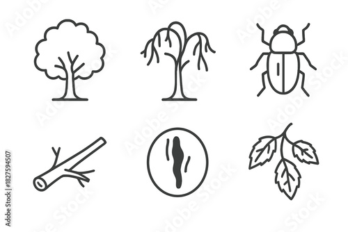 Dutch Elm Disease Icons. Line style icons of Dutch Elm Disease: elm tree silhouette, wilted crown, bark beetle, vascular staining,