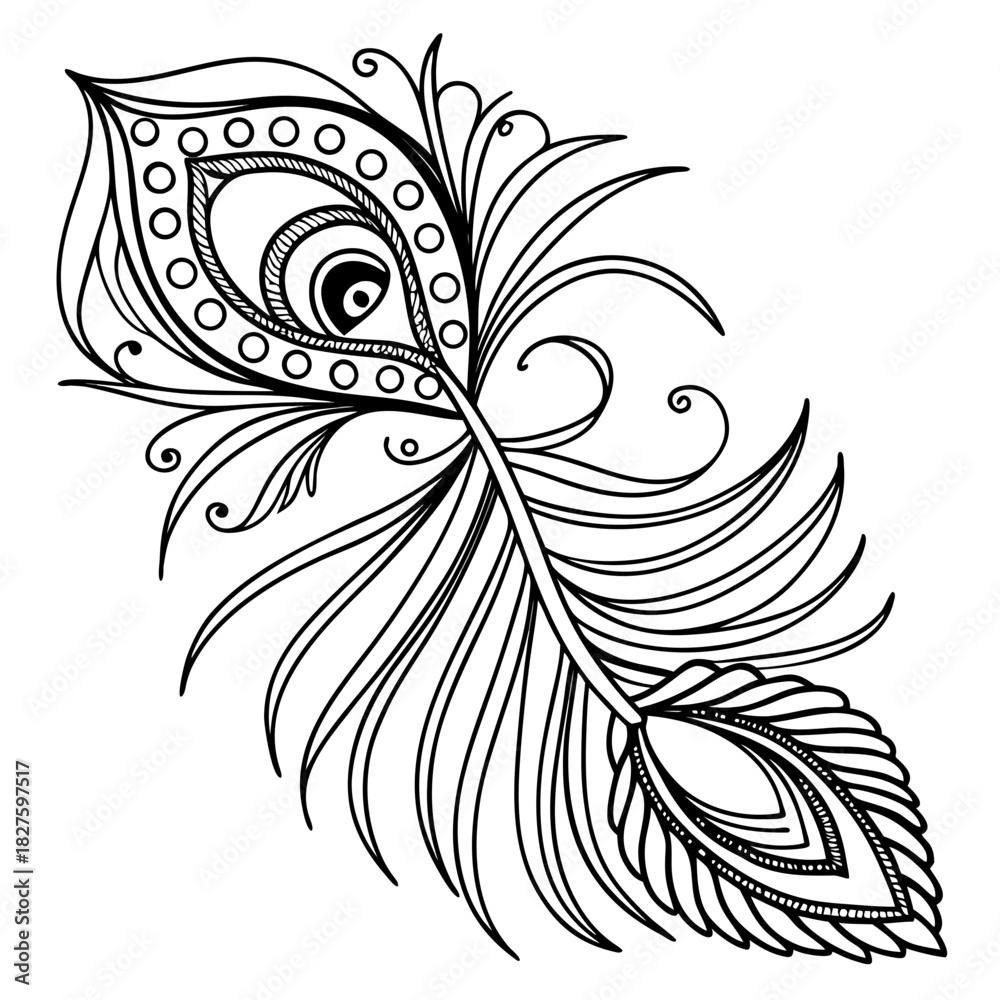 Obraz premium Extremely Fine Line Decorative Peacock Feather Pattern
