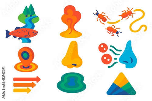 Olfactory Navigation Icons. Isometric vector illustration set Olfactory maps: salmon homing to spawning grounds, odor plume