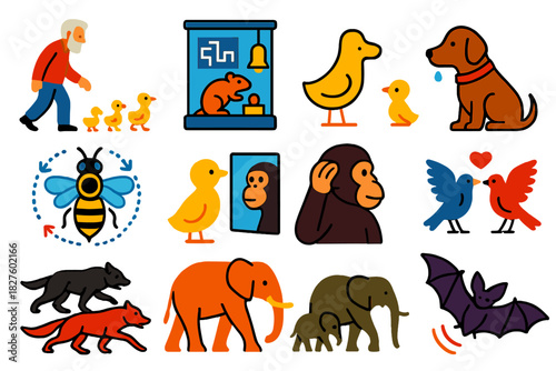 Ethology Icon Set. Flat vector icons of ethology: Lorenz with goslings, Skinner box, Pavlov’s dog, rat maze, bee waggle dance,