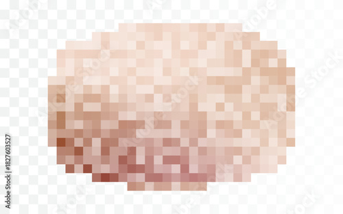 Censor pixel blur mosaic effect vector illustration. Censorship transparent background square pattern. Checkered texture hiding sensitive image, text. Forbidden and privacy content in nude skin color