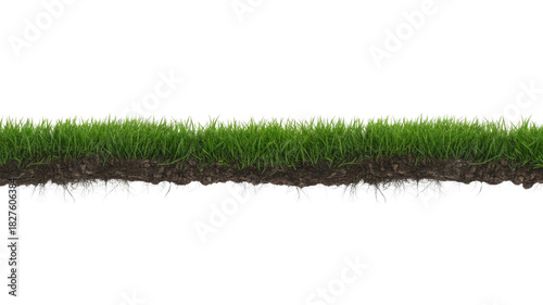 A long, vibrant strip of green grass with visible roots and rich soil, isolated as a cross-section on a transparent background. background removed
