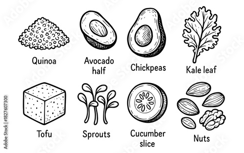 Hand drawn healthy ingredients: avocado, quinoa, chickpeas, kale, tofu, sprouts, cucumber, nuts