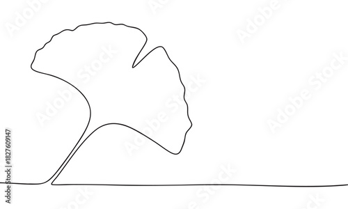Elegant Continuous Line Ginkgo Leaf Drawing