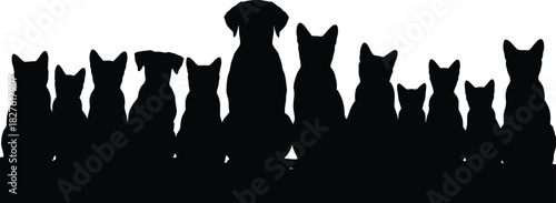 Silhouette of dogs and cats sitting together in a row