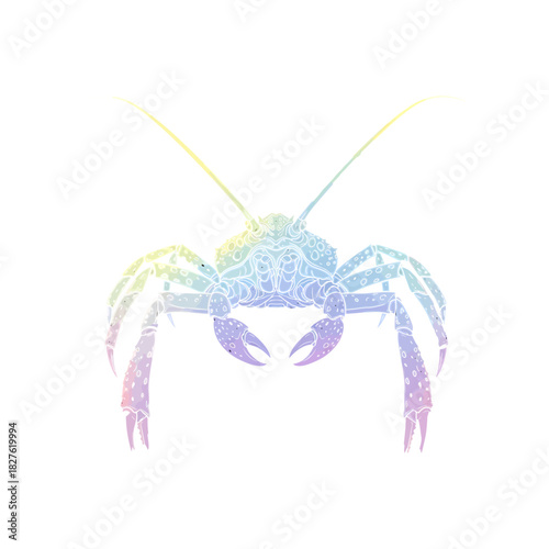 Stylized silhouette of a crab with a pastel gradient on black