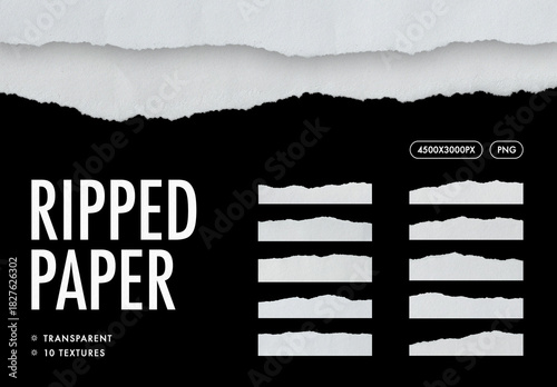 Ripped Papers Texture