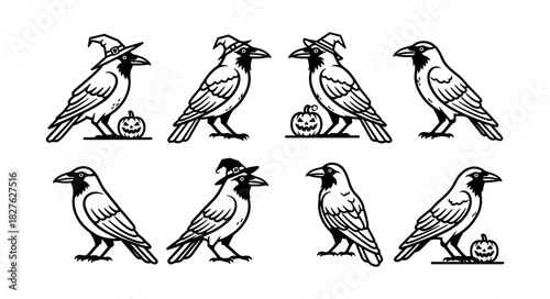 Set of Halloween crows with witch hats and pumpkins line art ill