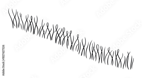 Flowing abstract organic shapes resembling grass blades or wisps in a dynamic arrangement, perfect for adding visual interest to natural or abstract compositions in print and digital media.