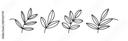 Simple black line drawings of plant branches with delicate leaves, perfect for natural themes, wellness branding, and organic product packaging.
