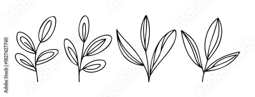Line art sprigs with leaves for organic design elements, perfect for nature themed projects and botanical compositions.