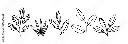 Collection of minimalist black outlines depicting various delicate plant branches and foliage for organic natural themes and springtime decorative applications.
