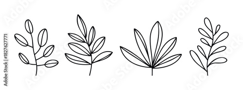 Simple line drawings of botanical branches with delicate leaves for natural theme projects and organic branding concepts