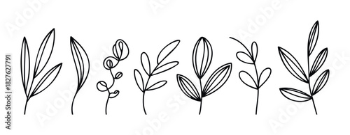 A collection of simple line drawings of various plant stems with leaves for botanical design elements and decorative accents.