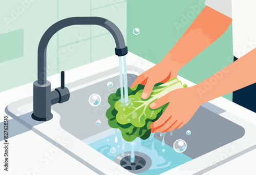 Illustration showing hands washing a green leafy vegetable under running water in a kitchen sink