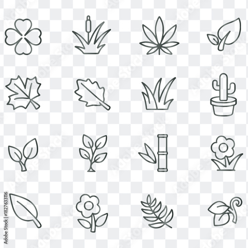 Outline vector icons for gardens, natural plants, flora, and botanical elements