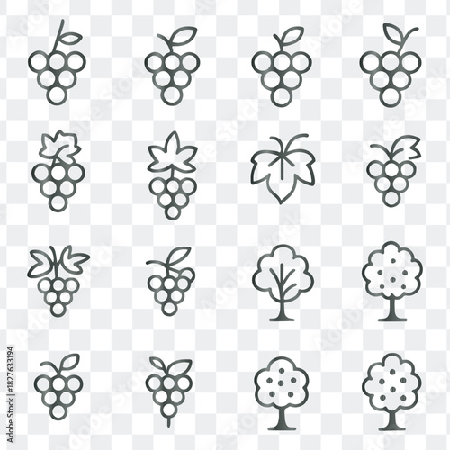 Outline vector icons for fruits, vineyards, trees, and organic farming concepts