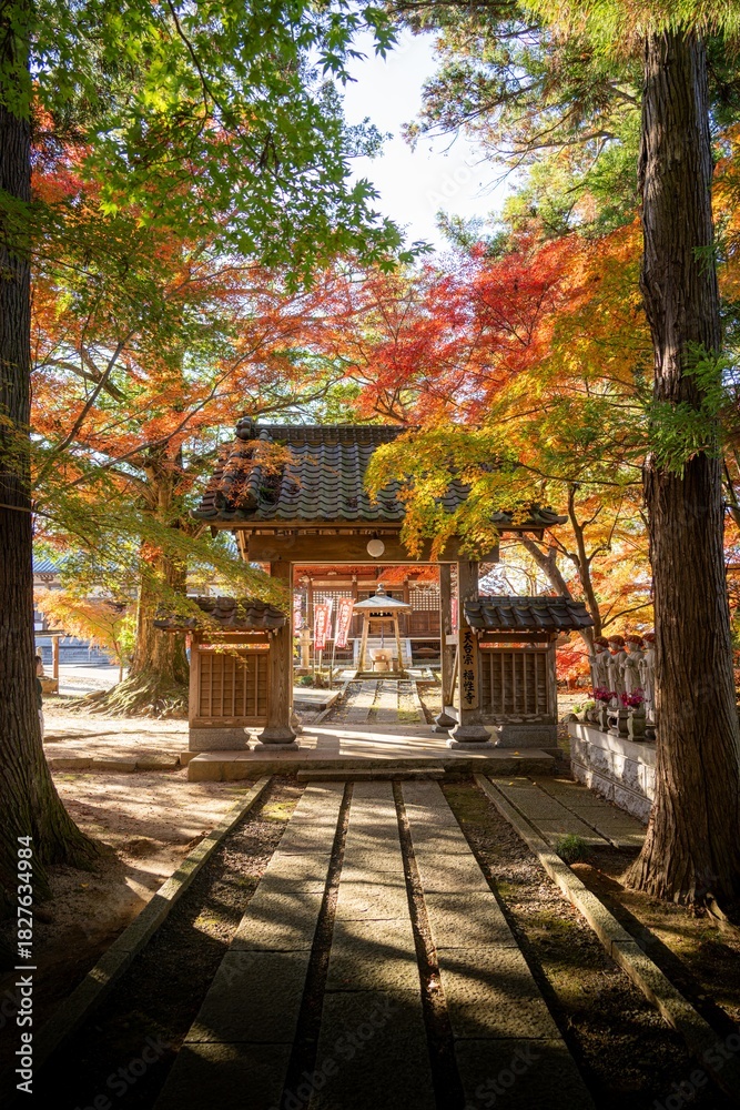 Obraz premium 茨城県 福性寺の紅葉 